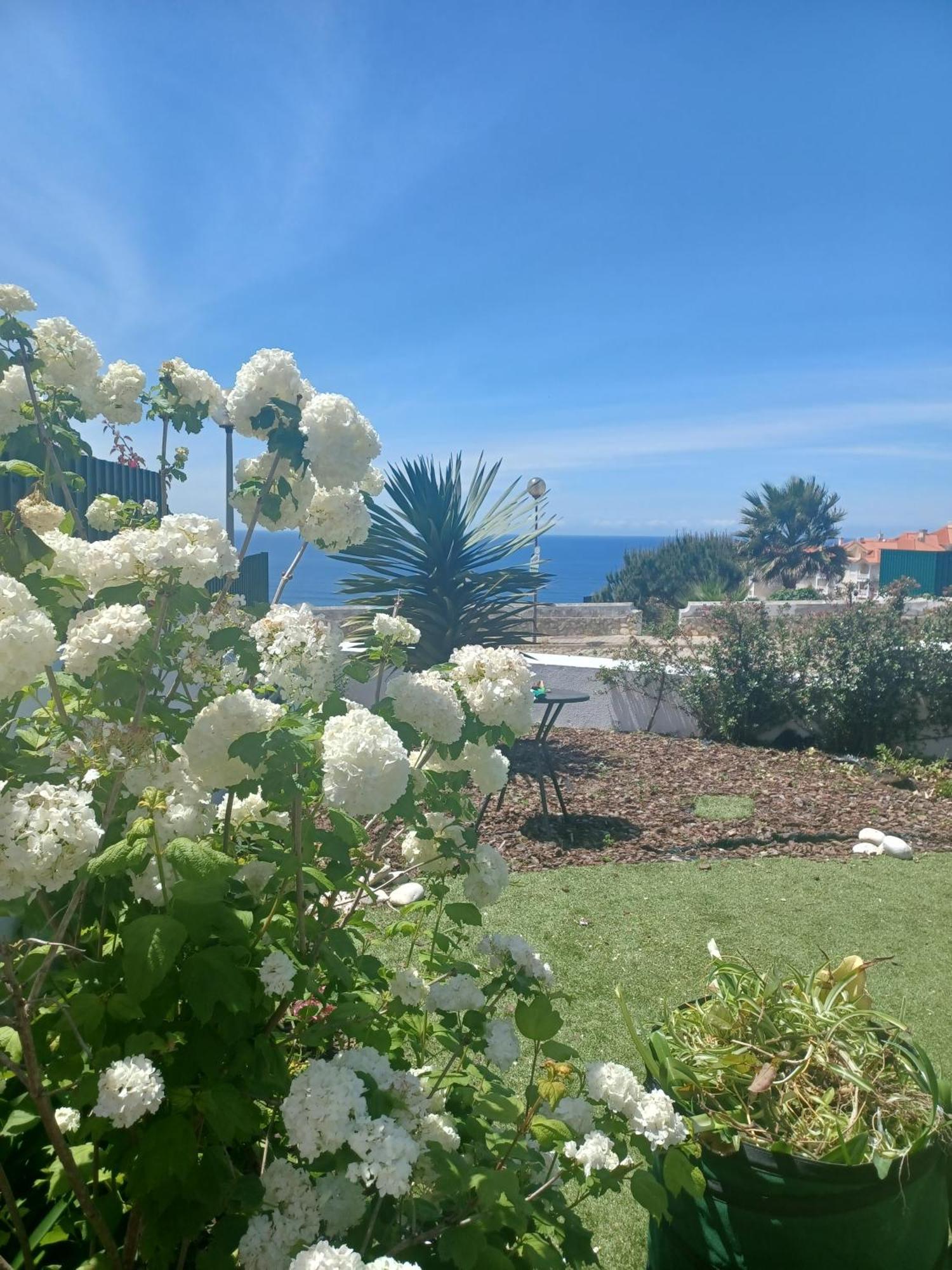 Ericeira Su Villa'S Esterno foto