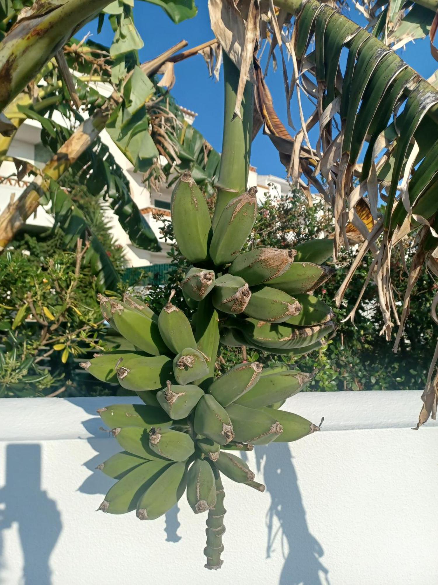 Ericeira Su Villa'S Esterno foto