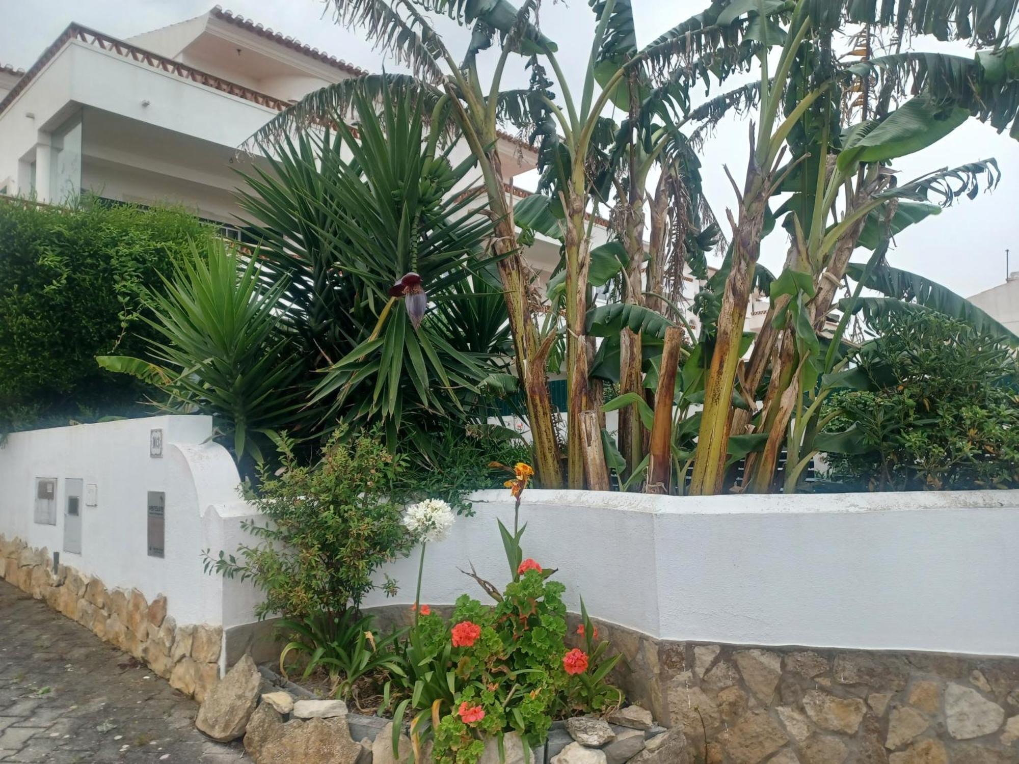 Ericeira Su Villa'S Esterno foto